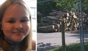 Dalta ó scoil lán-Ghàidhlig maraithe i dtimpiste in Albain