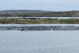 Cead le tabhairt do chomhlacht feirmeoireachta bradán uisce a thabhairt leo as Loch an Mhuilinn