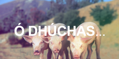 Ó DHÚCHAS: Shíl an mhuintir eile go raibh sé ar mire agus gur an mhuc a ba chiontaí leis
