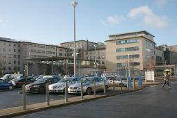 46 duine eile básaithe de dheasca an choróinvíris, breis is 600 cás nua sa Ghaillimh