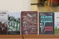 Mhothaigh mé dáimh le Pádraig Chaitríona agus mé ag fanacht ar leac de ghlaschloch na hOstaire