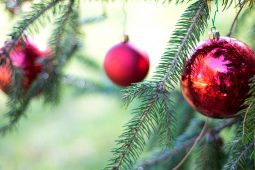 ‘Oíche Nollag’ le Máire Dinny Wren