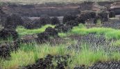 Mhionnaigh mé do Mhanchán Magan go leanfainn ag baint na móna an fhad is a bheas mé beo