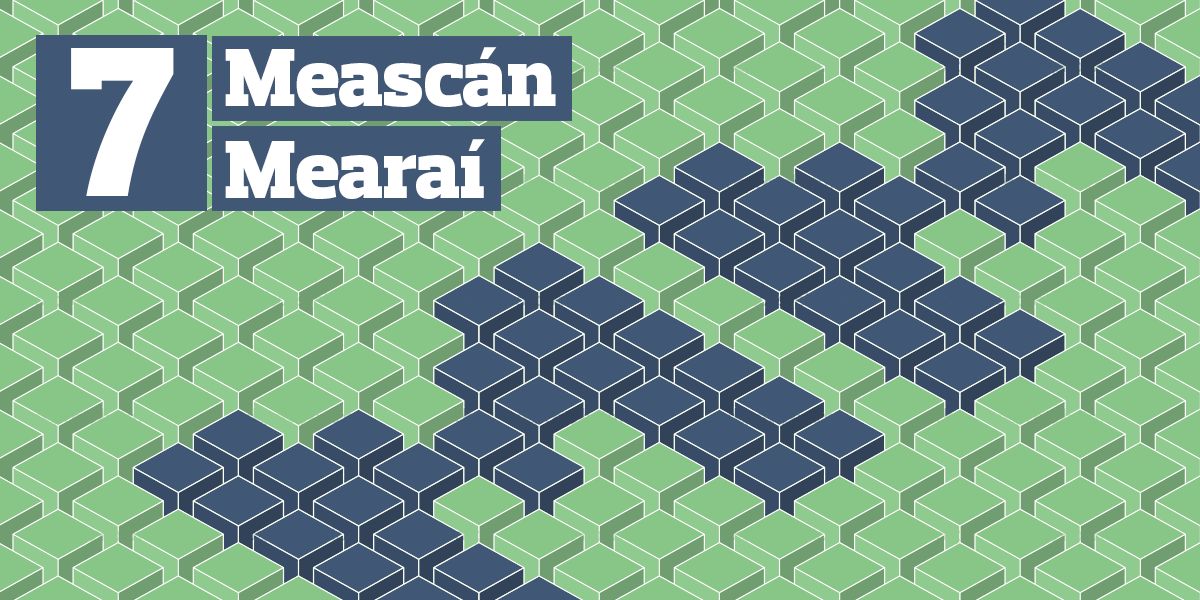 Meascán Mearaí 7 – Garda agus déagóir (Cartlann)