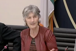 ‘Oibríonn sé amach réasúnta maith’ – oifigeach Gaeilge gan aon Ghaeilge ag an Roinn Sláinte