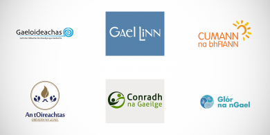 Na ceanneagraíochtaí le tarraingt siar ó athbhreithniú mura gcuireann Foras na Gaeilge cóip de thuarascáil ar fáil