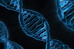 Scéala faighte ag daoine i nGaeltacht Chonamara go bhféadfadh an FBI leas a bhaint as a samplaí DNA