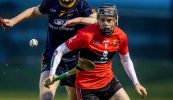 Ní bheidh mórán idir MIC agus UCC