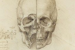 LÉIRMHEAS: Is mór an phribhléid í an leathuair féin a chaitheamh le Leonardo da Vinci