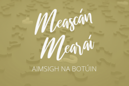 Nua! Meascán Mearaí 6 – Aimsigh na Botúin