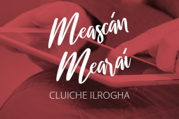 Meascán Mearaí 7 – Cluiche Ilrogha – Inscne an Ainmfhocail