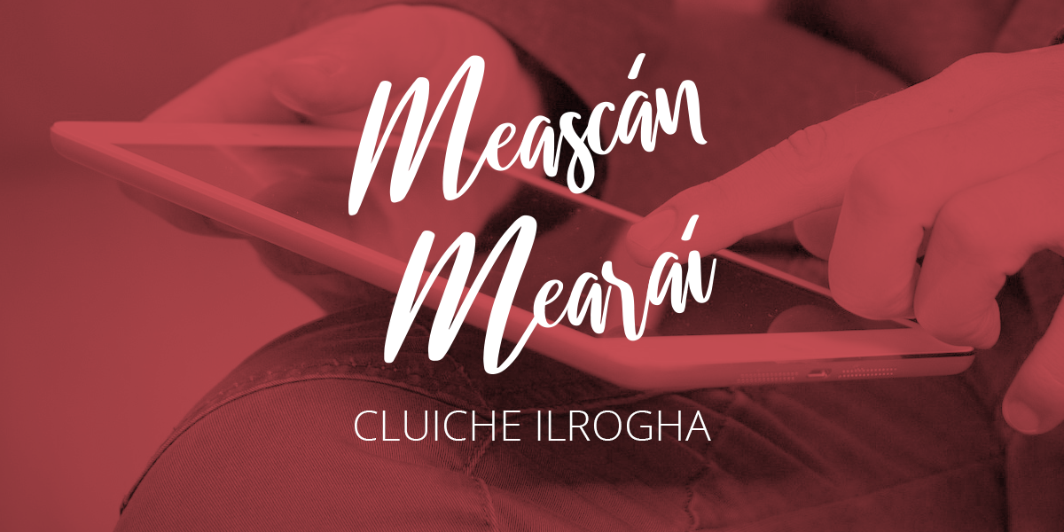 Meascán Mearaí 7 – Cluiche Ilrogha – Inscne an Ainmfhocail