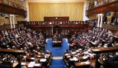 Tá an stát seo in aimhréidh mar gheall ar pholasaithe lofa, ach is cuma linn