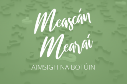 Meascán Mearaí 11 – Aimsigh na Botúin