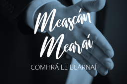 Meascán Mearaí 10 – Iriseoir agus Polaiteoir