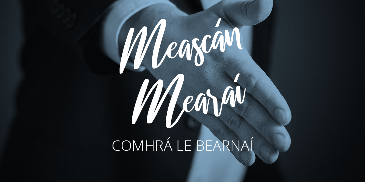 Meascán Mearaí 10 – Iriseoir agus Polaiteoir