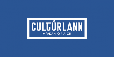 Stiúrthóir Feidhmiúcháin a cheapadh le téarma máithreachais a chlúdach