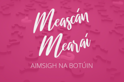 Meascán Mearaí 16 – Aimsigh na Botúin