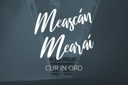 Meascán Mearaí 14 – Cur in Ord