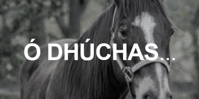 Deirtear go bhfeiceann an capall a lán rudaí nach féidir leis an marcach d’fheiscint in aon chor