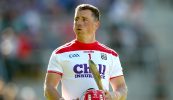Brú damanta cheana ar chuid d’fhathaigh na fuinseoige
