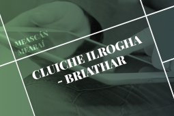 Meascán Mearaí – Aimsigh na Botúin