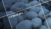 LITRÍOCHT BHÉIL: Cúrsaí Bia