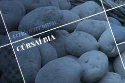 LITRÍOCHT BHÉIL: Cúrsaí Bia