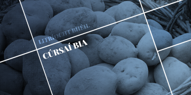 LITRÍOCHT BHÉIL: Cúrsaí Bia