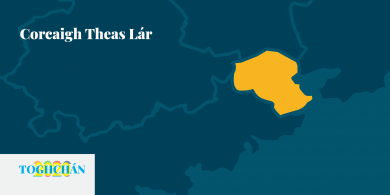 D’fhéadfadh gurb í Bogue a dhéanfaidh an beart do Chomhaontas Glas i gCorcaigh Theas Lár