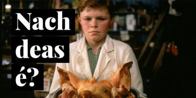NACH DEAS É? Chomh luaineach le búistéara an tsléibhe…