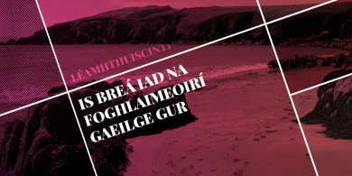 LÉAMHTHUISCINT: Is breá iad na foghlaimeoirí Gaeilge