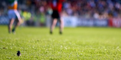 Táimid go léir ar nós Eoghainín agus na fáinleoga anois