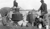D’ól mé drochphoitín uair amháin agus ba bheag nár chuir sé go doras an bháis mé