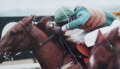 Mo shean-leabhairín beag dubh agus scéal an Executive Babe