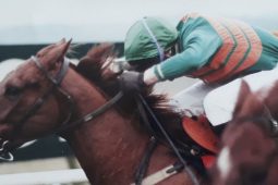 Mo shean-leabhairín beag dubh agus scéal an Executive Babe