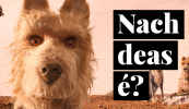 NACH DEAS É? Tá mé chomh tinn le gadhar