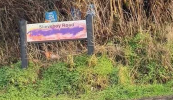 CCTV de dhíth le stop a chur leis an loitiméireacht sheicteach ar chomharthaí Gaeilge – comhairleoir