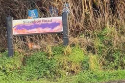 CCTV de dhíth le stop a chur leis an loitiméireacht sheicteach ar chomharthaí Gaeilge – comhairleoir