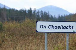 Díomá faoi ‘easpa aitheantais’ don Ghaeilge i bhfeachtas margaíochta Chomhairle Contae Dhún na nGall