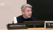 Moladh le plé sa Seanad go mbeadh sé in aghaidh an dlí ‘mímhisneach’ a chur ar dhuine faoin nGaeilge