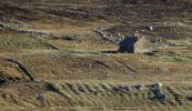 Saothar stuifiúil a thugann cuntas cuimsitheach ar ainnise an Ghorta Mhóir