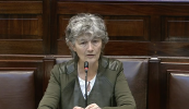 FÍSEÁN: ‘Mura n-aithníonn sibh go bhfuil géarchéim ann, tá muid ag dul sa treo mícheart’ – plé tosaithe ar an mBille Teanga