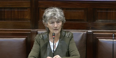 FÍSEÁN: ‘Mura n-aithníonn sibh go bhfuil géarchéim ann, tá muid ag dul sa treo mícheart’ – plé tosaithe ar an mBille Teanga