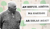 FUAIM: An bhfuil aibítir na Gaeilge ar eolas agat? Éist léi anseo…