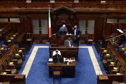 Ceartúsáid ainmneacha agus soláthar foirmeacha stáit i nGaeilge le plé sa Dáil