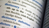 An chéad fhéachaint ar an bhFoclóir Gaeilge-Gaeilge ag Oireachtas na Samhna