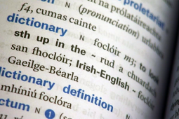 An chéad fhéachaint ar an bhFoclóir Gaeilge-Gaeilge ag Oireachtas na Samhna