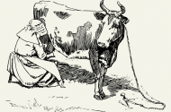 Ó DHÚCHAS: An Chincís agus an leigheas ar bhó a bheadh ag cur amach a bundúin