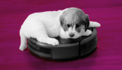 Vrúúúúm!’ a deir an roomba, ‘bhuf!’ arsa Lilí